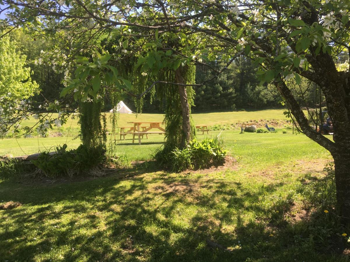 Craftsbury Farmhouse Eksteriør billede